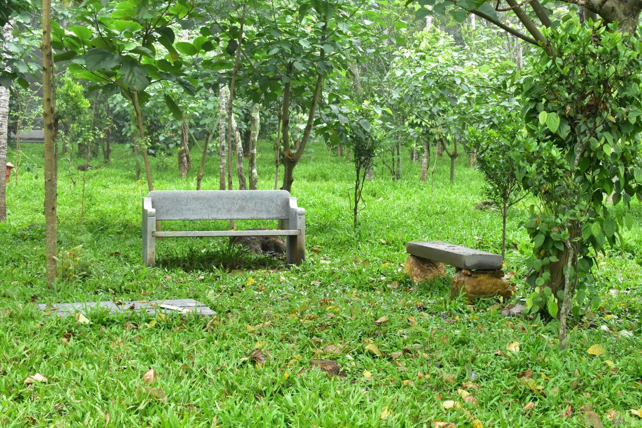 Myst - Yellow Lakes Resorts & Spa Yercaud Bagian luar foto